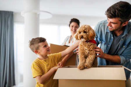 7 MISTAKES TO AVOID WHILE MOVING WITH A PET